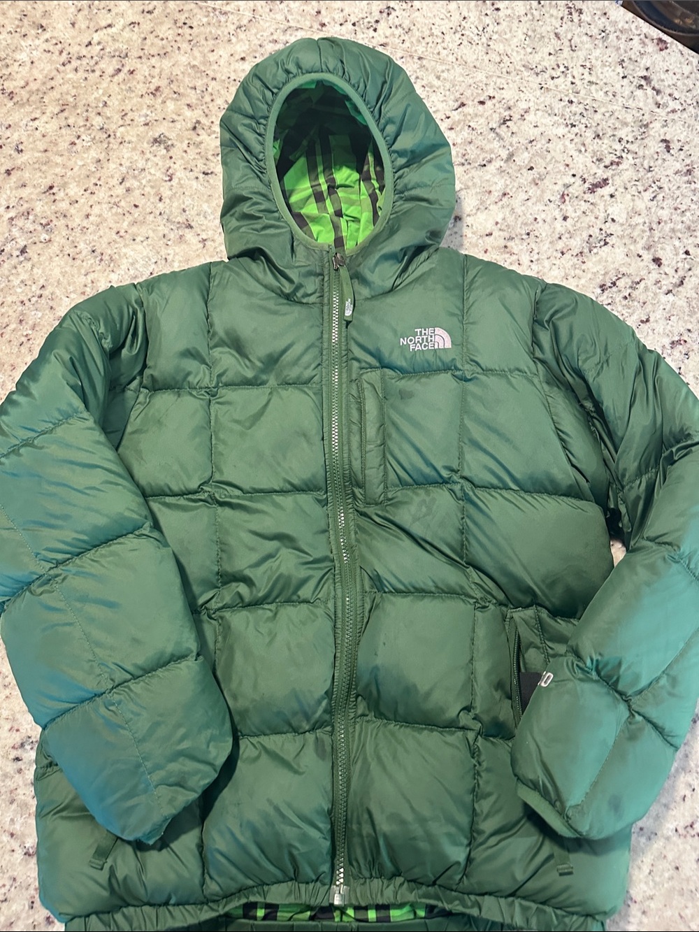 The North Face Kids' Forest Green Hooded Puffer Jacket